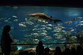 IMG_0969