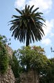IMG_1037