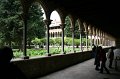 IMG_1050