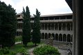 IMG_1075