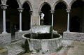 IMG_1085
