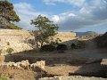 IMG_2450