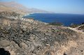 IMG_3349