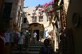 IMG_3454