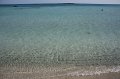 IMG_3486
