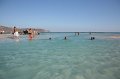 IMG_3495