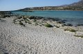 IMG_3515