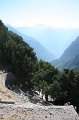 IMG_3722