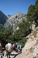 IMG_3728