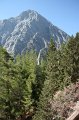 IMG_3742