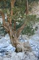 IMG_3761