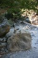IMG_3766