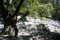 IMG_3767