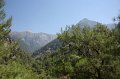 IMG_3800