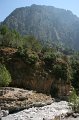 IMG_3811