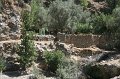 IMG_3817
