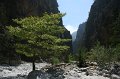 IMG_3846