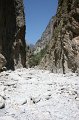 IMG_3853