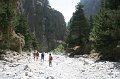 IMG_3854