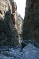 IMG_3879