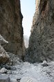 IMG_3885
