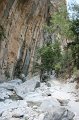 IMG_3888