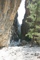 IMG_3889