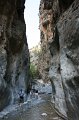 IMG_3901