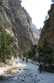 IMG_3902