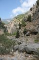 IMG_3913