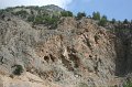 IMG_3917