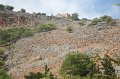 IMG_3926