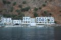 IMG_3971