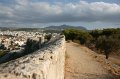 IMG_4081
