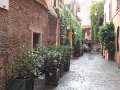 IMG_3256