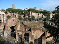 IMG_3291