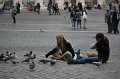 IMG_4552