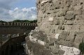 IMG_4594