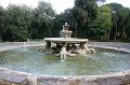 IMG_4666