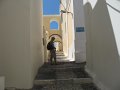 IMG_2331