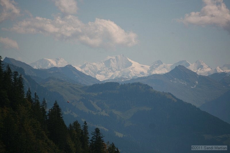 IMG_7001.JPG