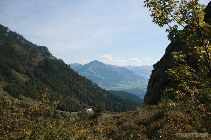 IMG_7004.JPG
