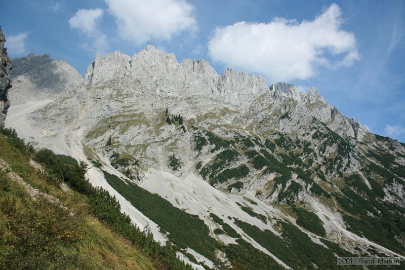 IMG_7008.JPG