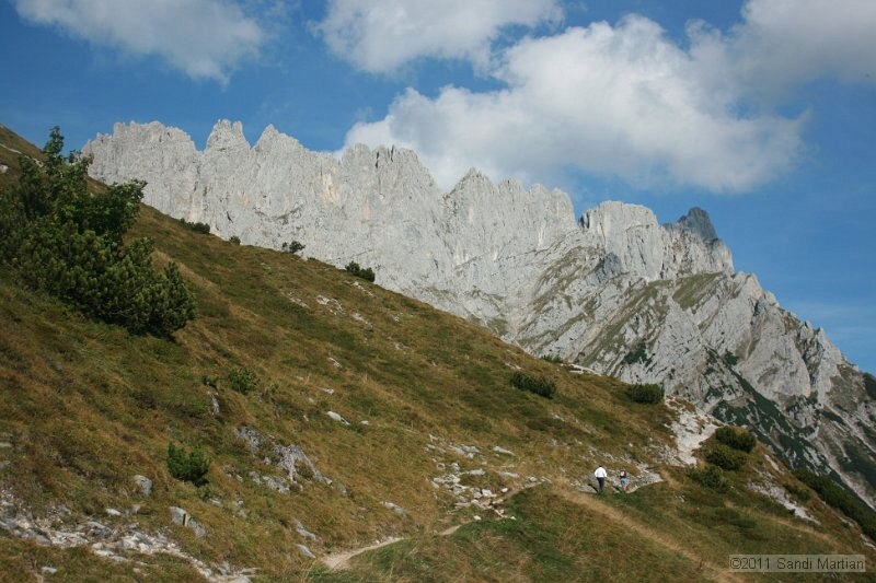 IMG_7036.JPG