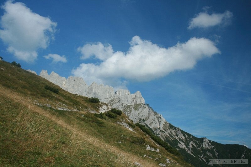 IMG_7040.JPG
