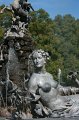 IMG_6938