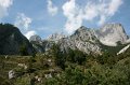 IMG_6981