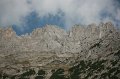 IMG_6987