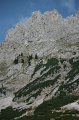 IMG_6992
