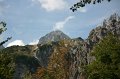 IMG_6995